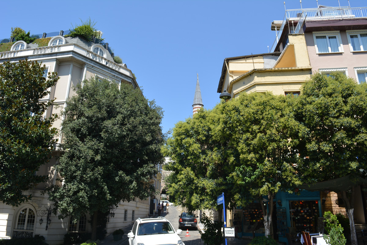 DSC-4132.jpg