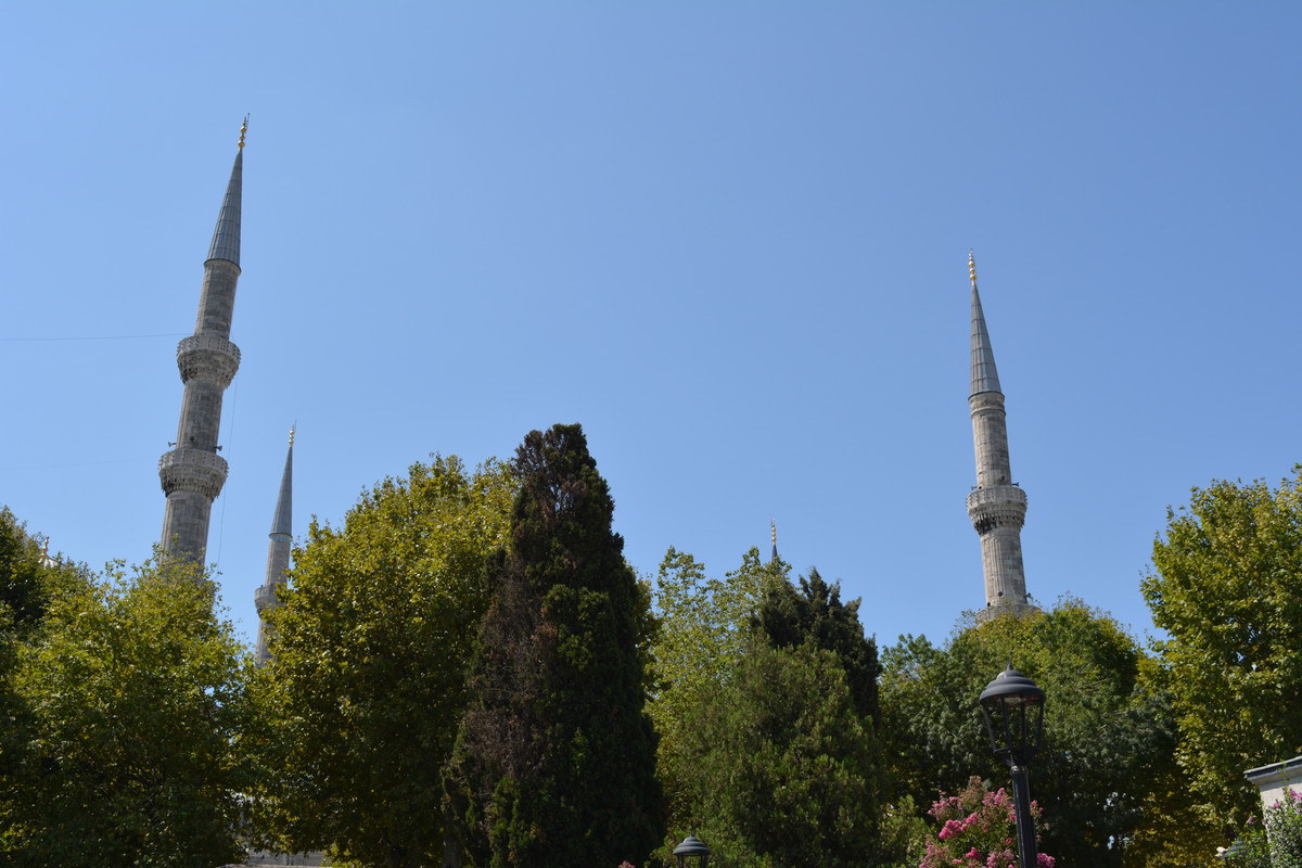 DSC-4643.jpg