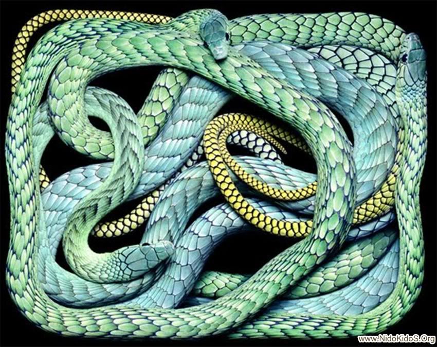 blue-snake.jpg