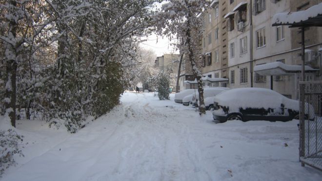 _92676575_snow_dushanbe_47.jpg