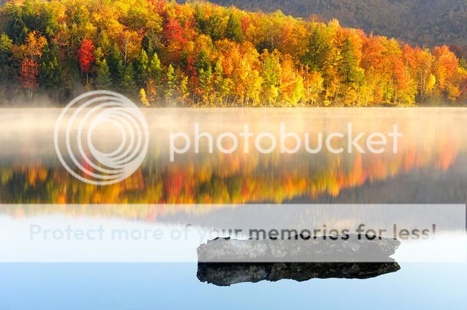 NaturePicsByJacob4.jpg
