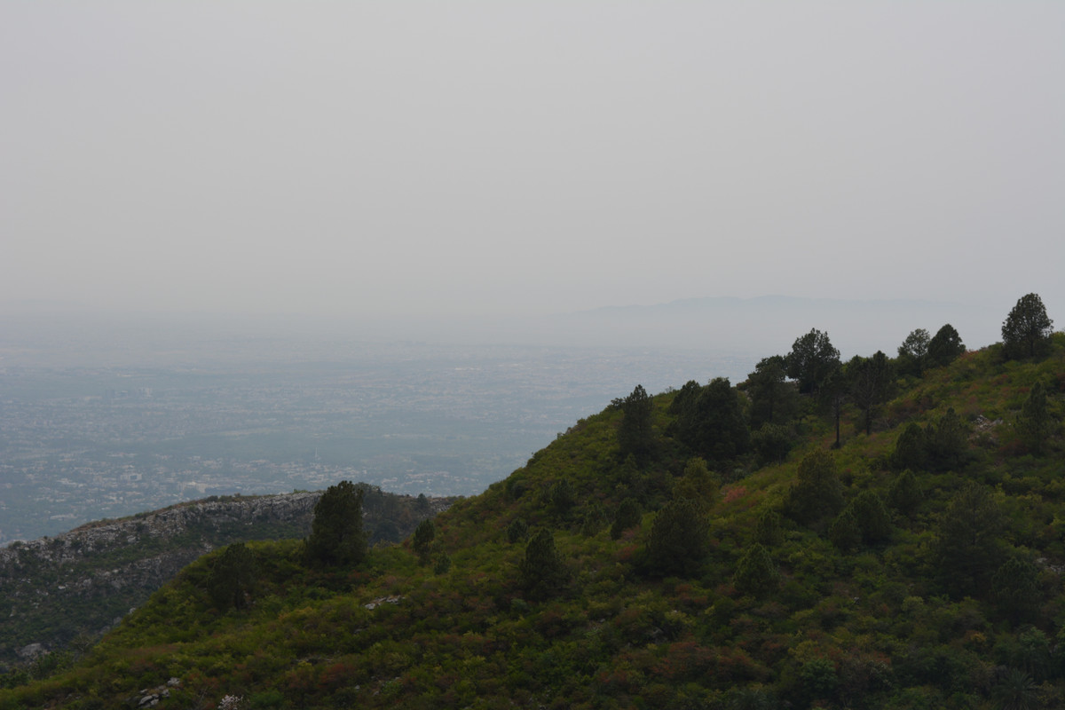 DSC-3124.jpg