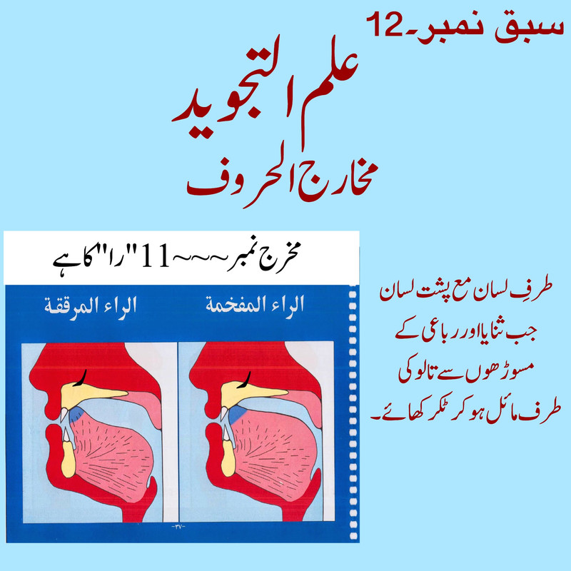 A981179-D-2-DD7-43-BB-BF82-46-B17-EE89575.jpg