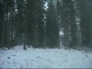 Movie001_0001.jpg