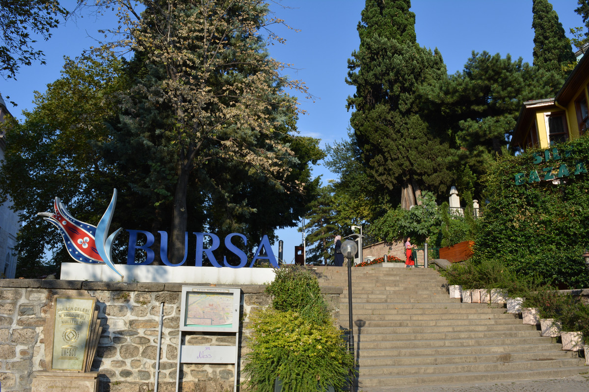 DSC-5307.jpg