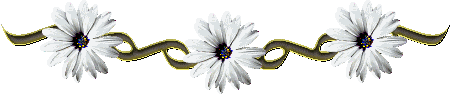 2hi8o3m.gif