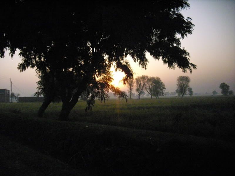 DSCI0020.jpg