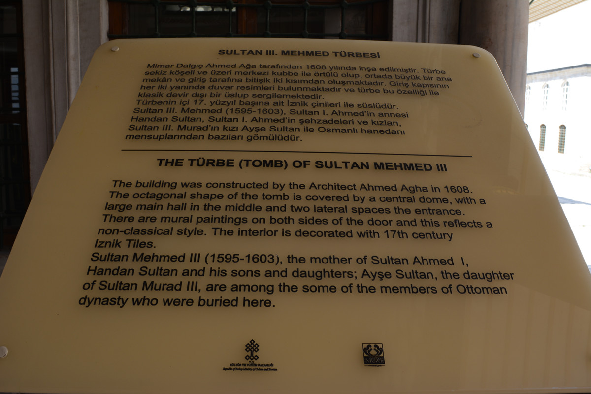 DSC-4160.jpg