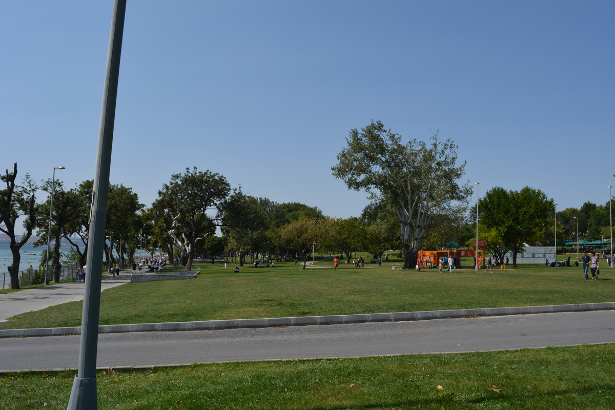 DSC-5743.jpg