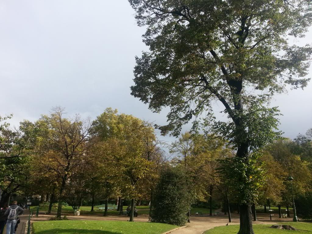 2012-11-03105826-1.jpg