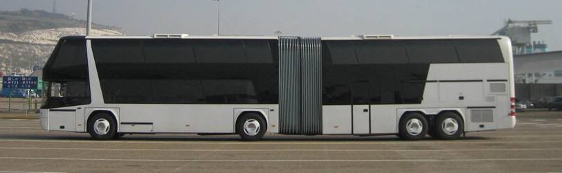 10509681.jpg