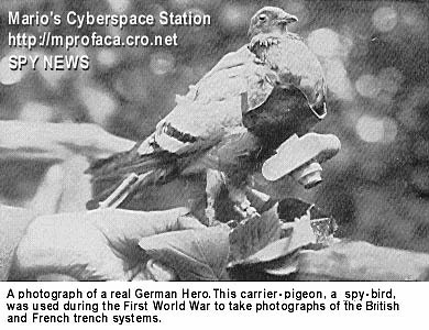 spybird.jpg