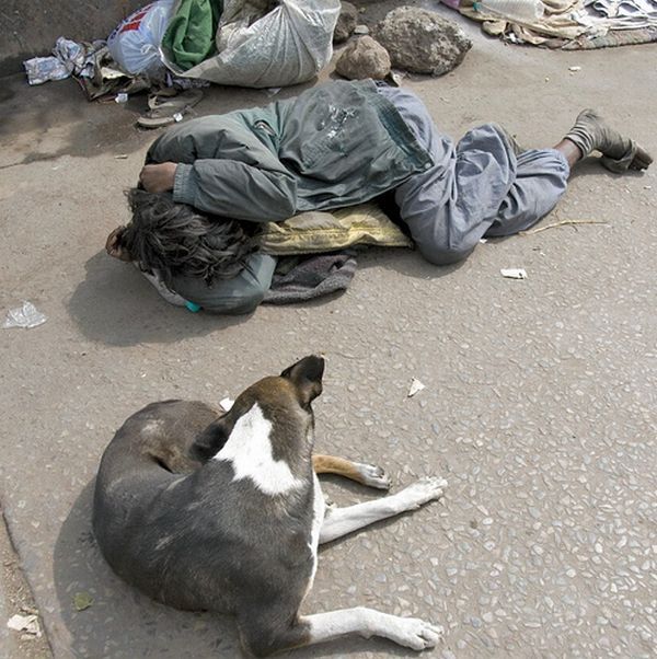 india_44.jpg