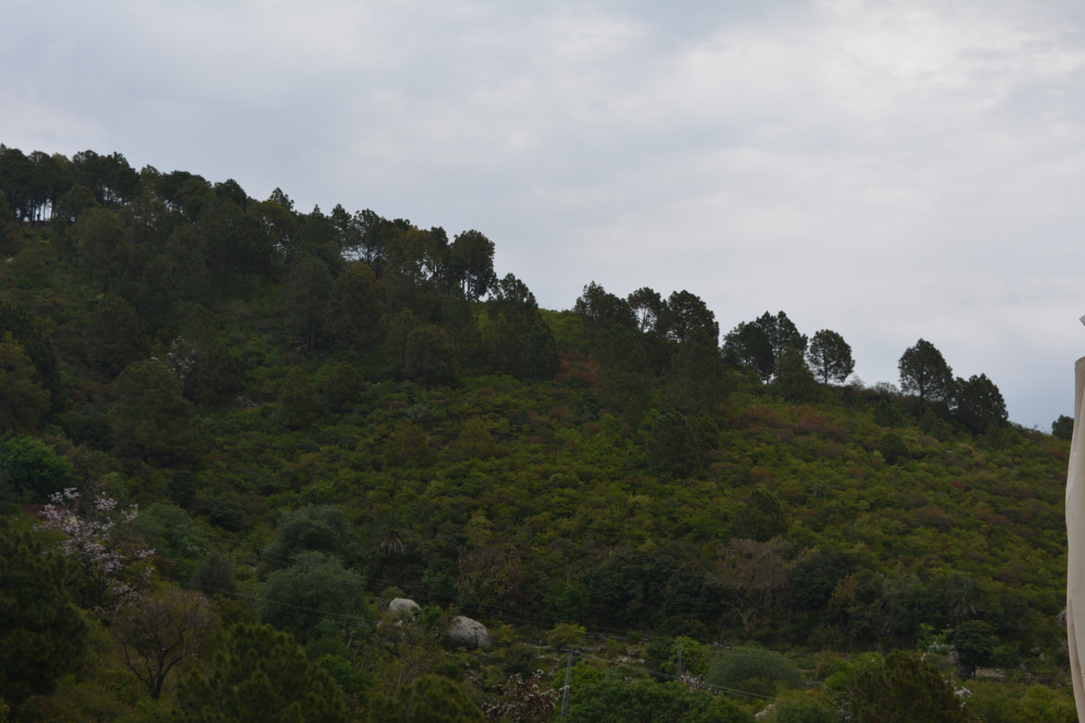 DSC-3114.jpg