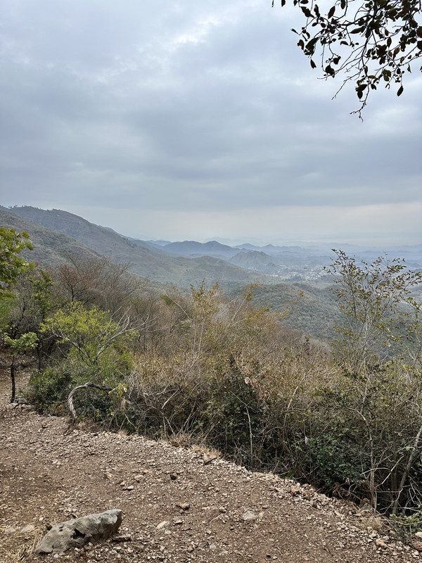 IMG-1748.jpg