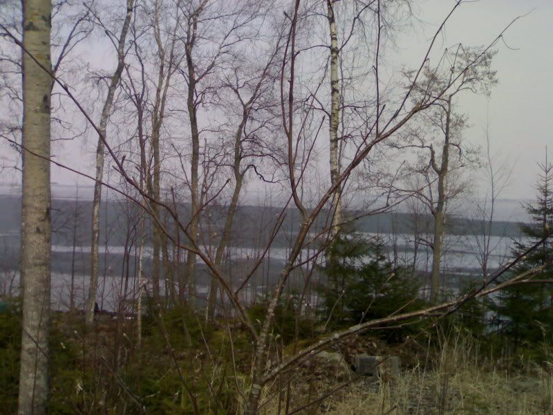 02052006250.jpg