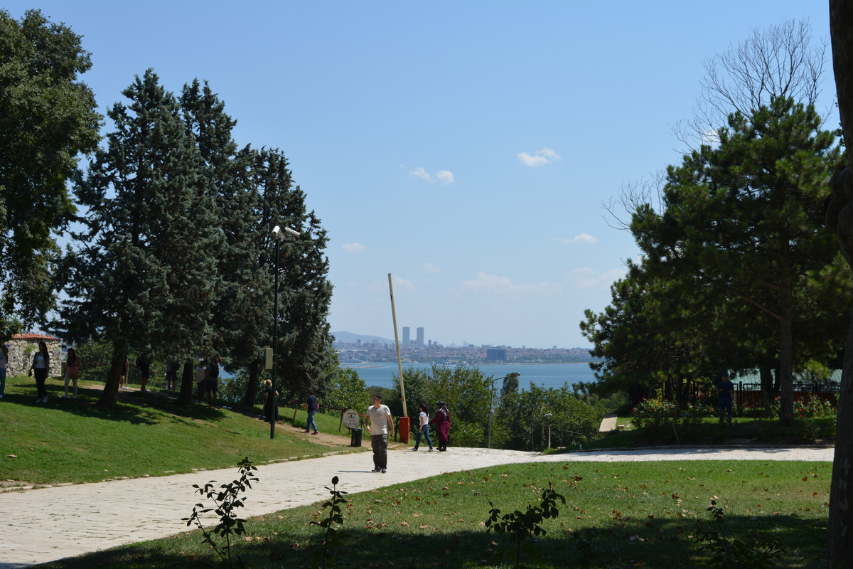 DSC-4181.jpg