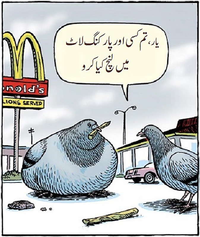 feeding-zone.jpg