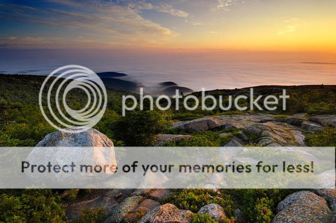 NaturePicsByJacob3.jpg