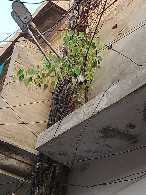 IMG-20250704-184141-MP.jpg