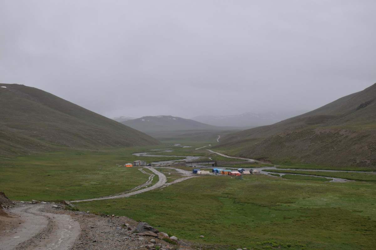 DSC-0703.jpg