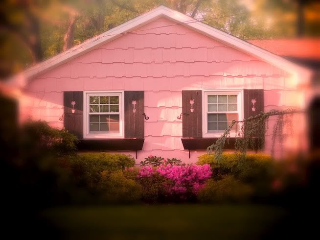 pinkby425.jpg