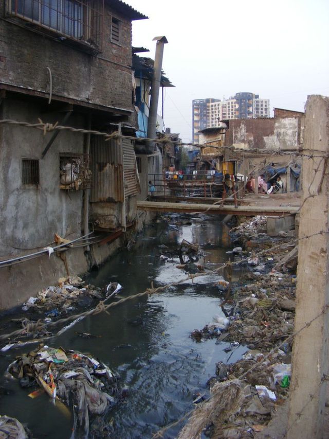 india_25.jpg