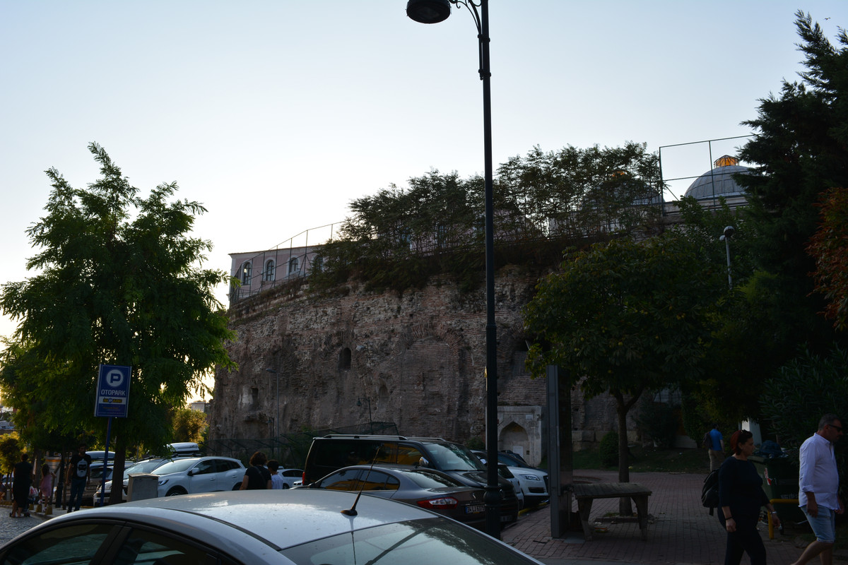 DSC-5784.jpg