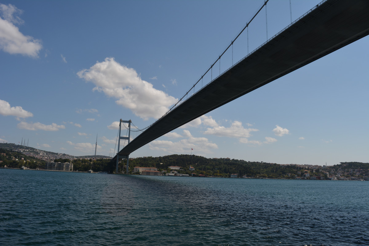 DSC-4737.jpg