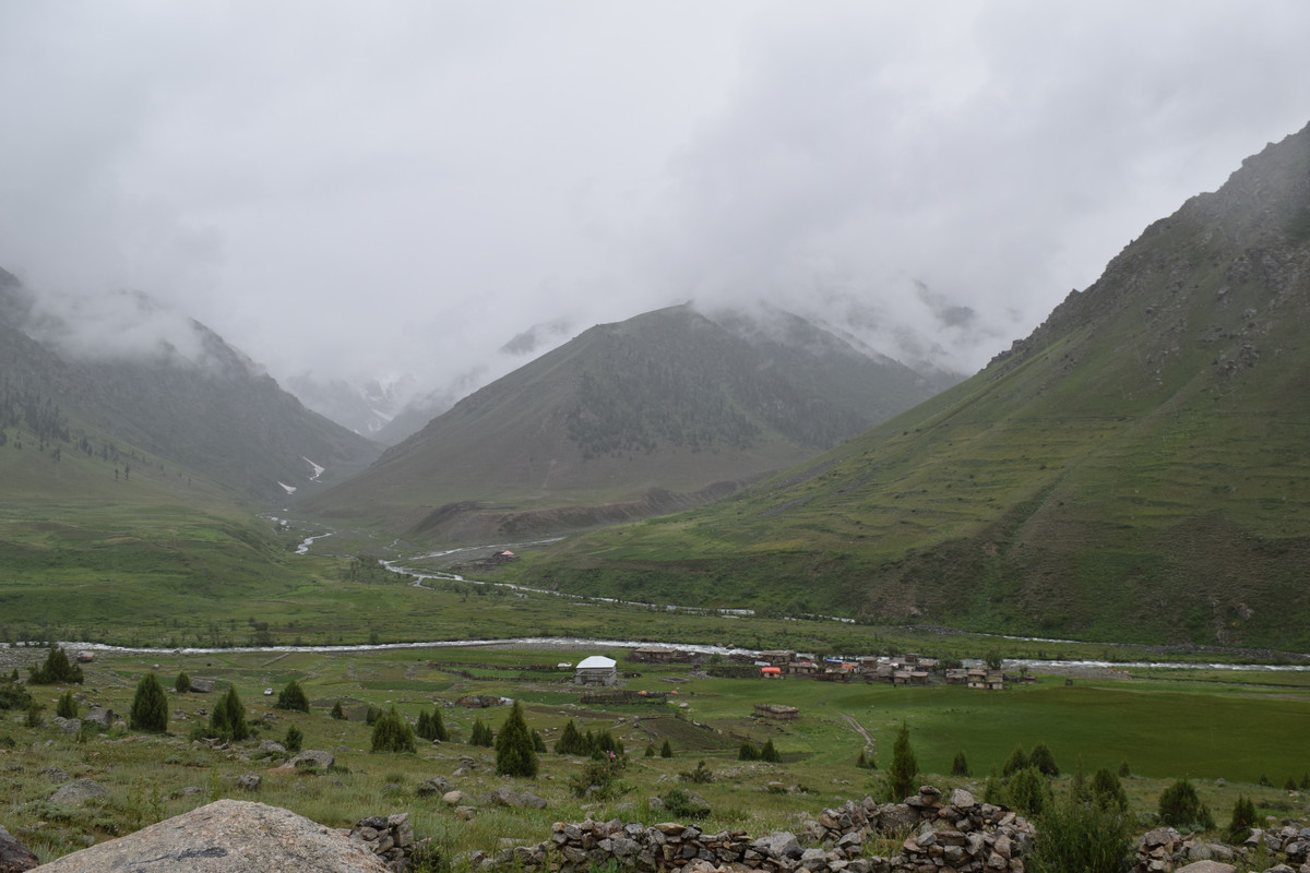 DSC-0501.jpg