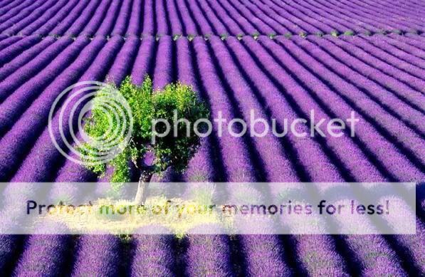 BeautyofEarth9.jpg