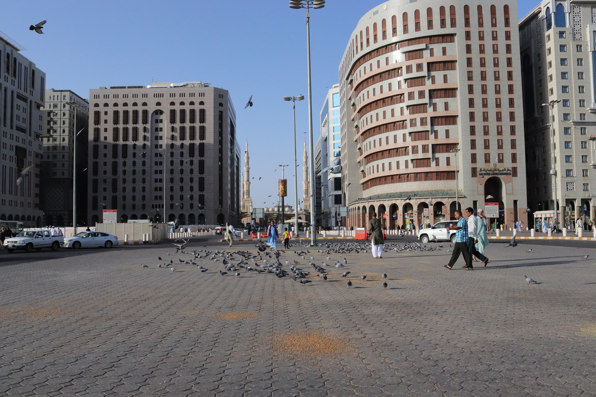 IMG-0835.jpg