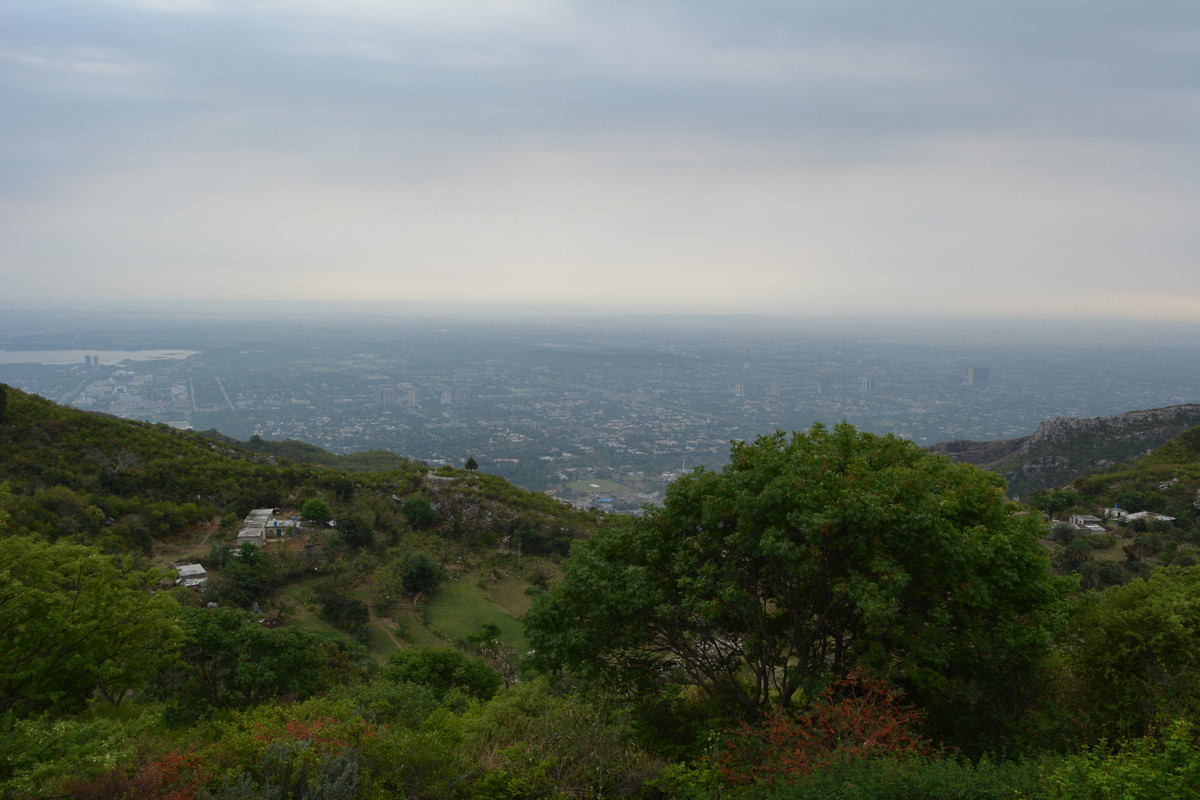 DSC-3105.jpg