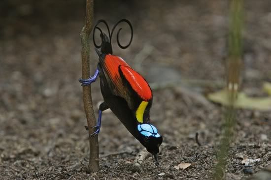 image010.jpg