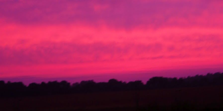 pinkby038.jpg