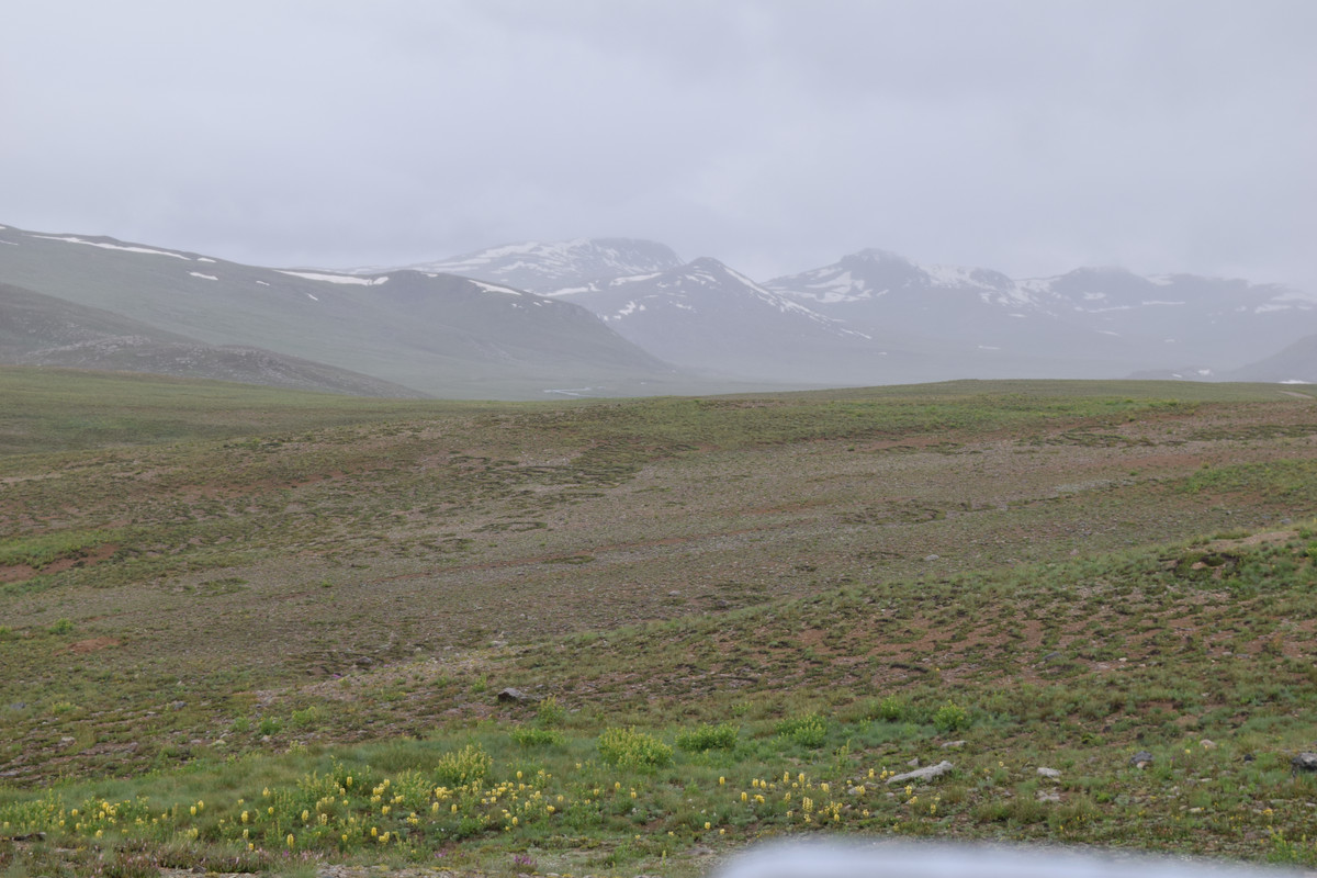 DSC-0747.jpg