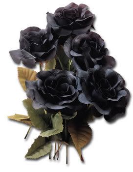 Black-Roses-clrd.jpg