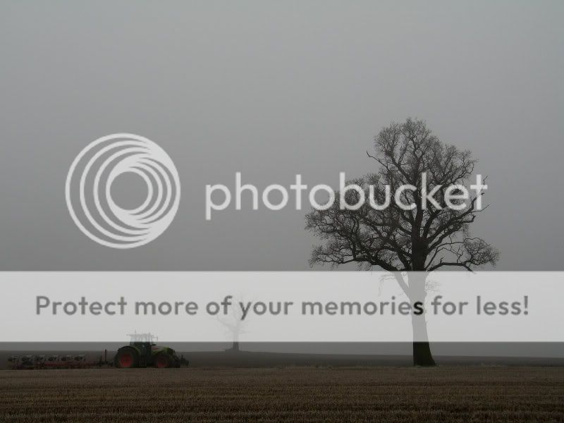 108798437_bcOt7QpT.jpg
