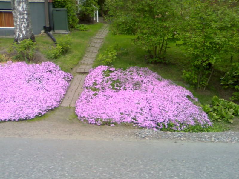 07062006821.jpg