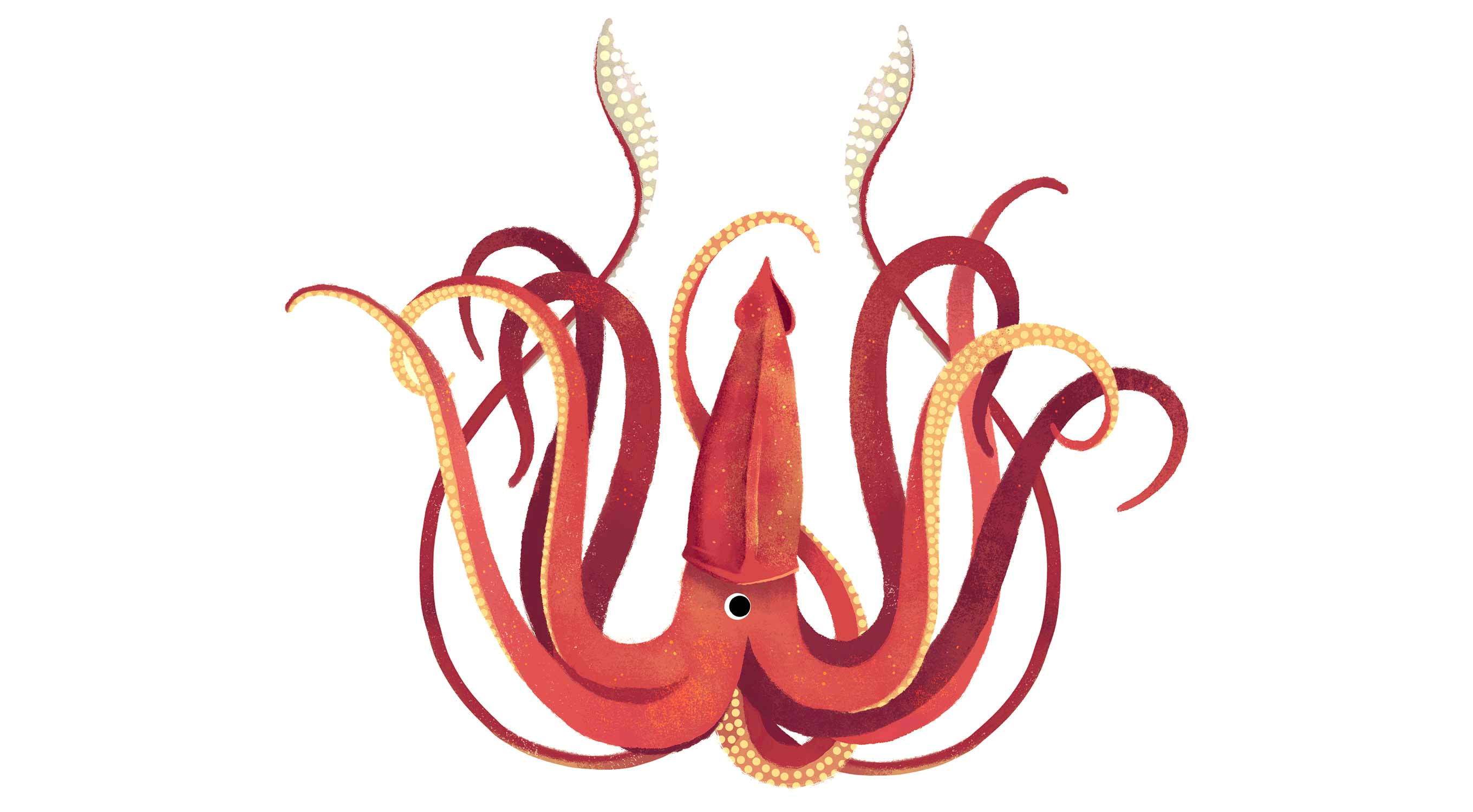 giant-squid.jpg