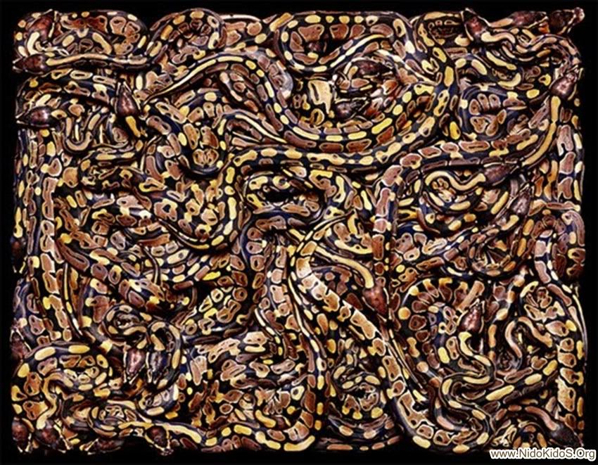 many-snakes.jpg