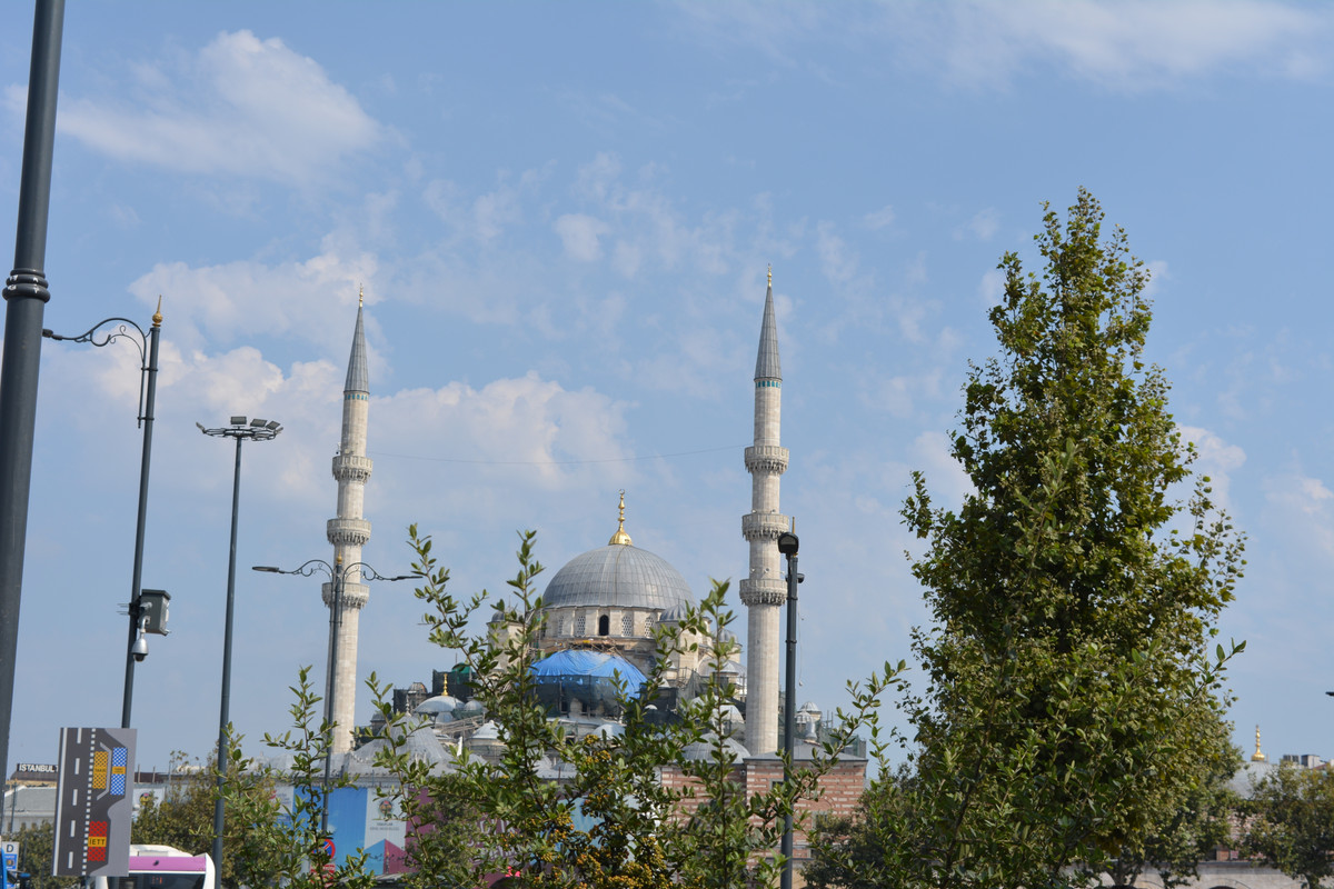 DSC-5950.jpg