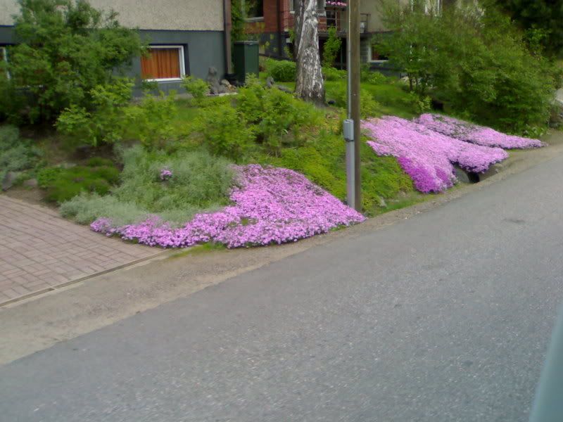 07062006822.jpg
