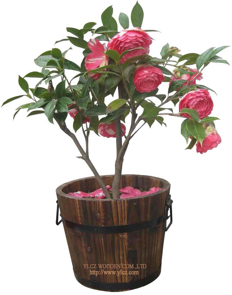 Garden-Decoration-Round-Flower-Pot-GH8008A-.jpg