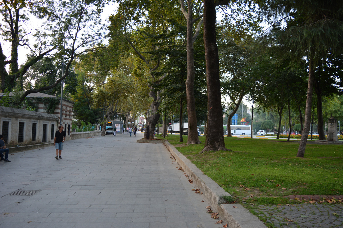 DSC-4548.jpg