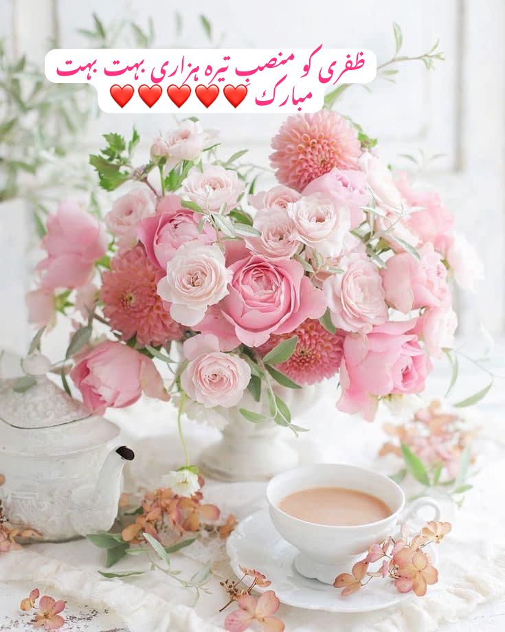 7d0feb4a-b356-4c46-b44a-c175a299bc78.jpg