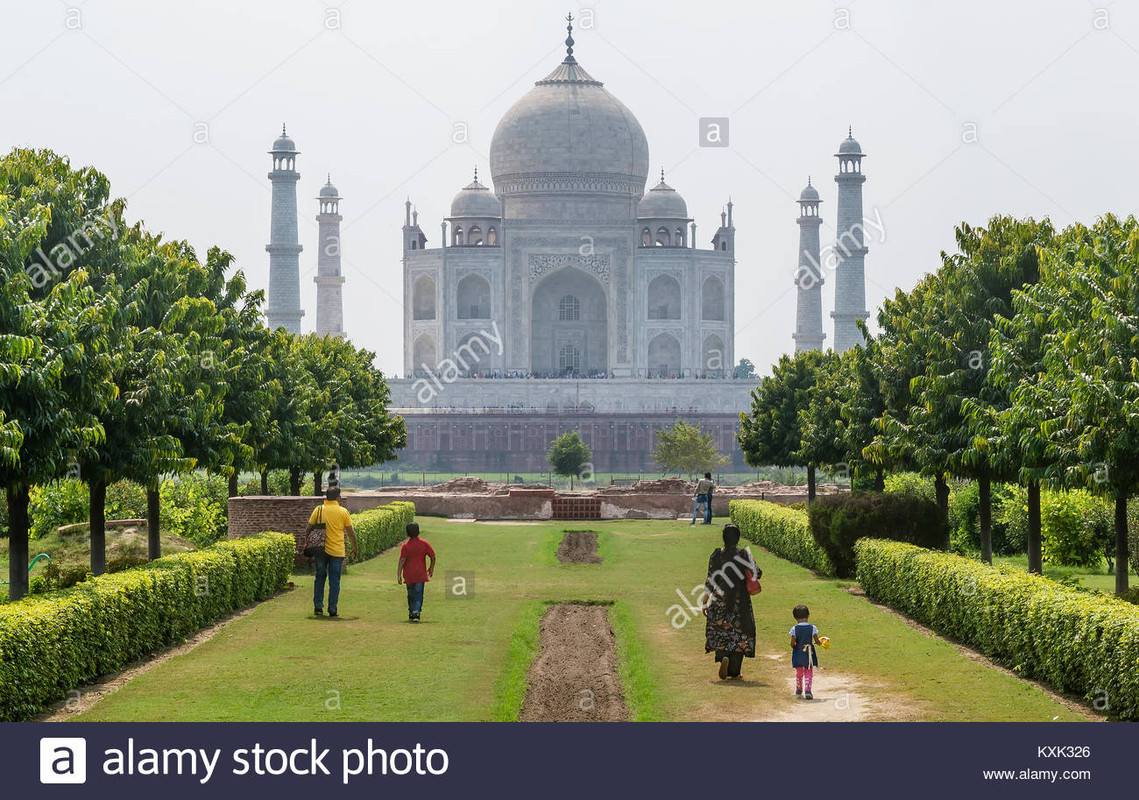 admiring-the-taj-mahal-from-mehtab-bagh-park-in-agra-uttar-prade.jpg