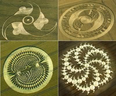 crop_circles1.jpg