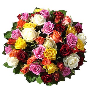 mixed-roses.jpg