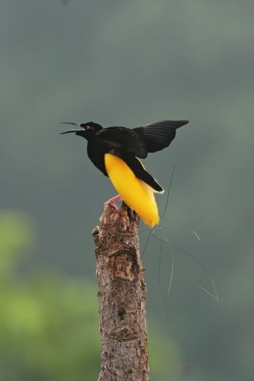 image009.jpg